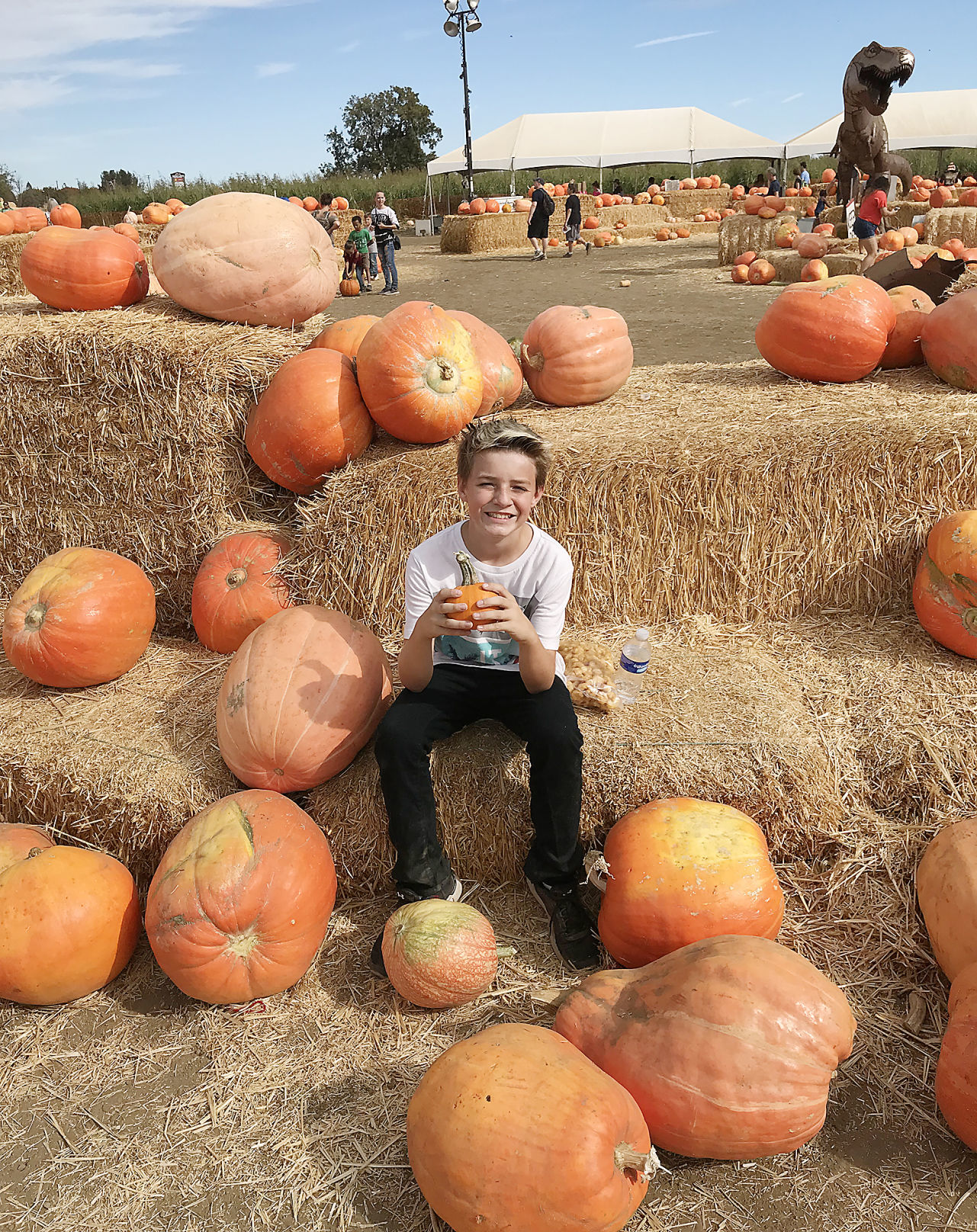 Pumpkin Patch